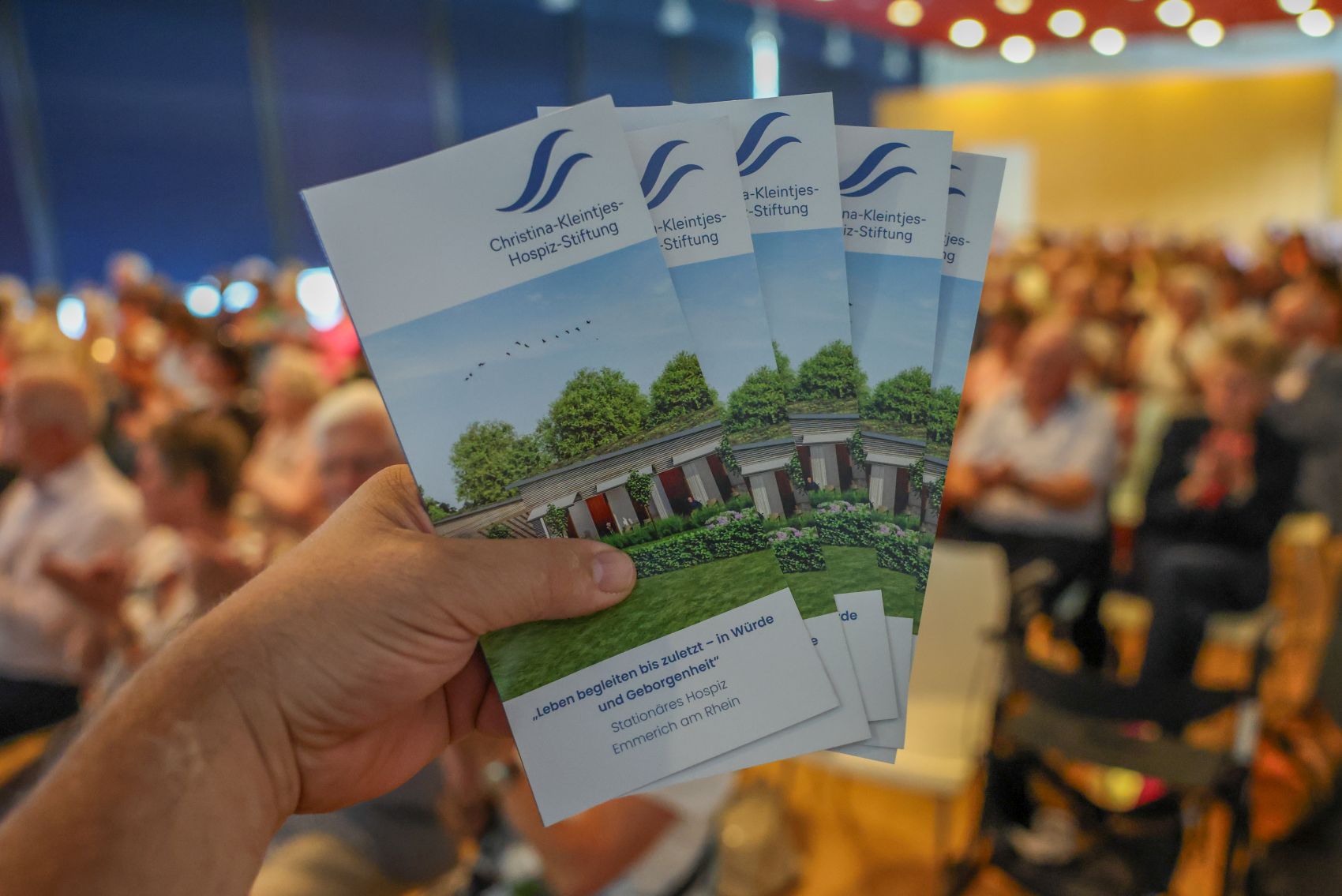 top-top.de-250919-118